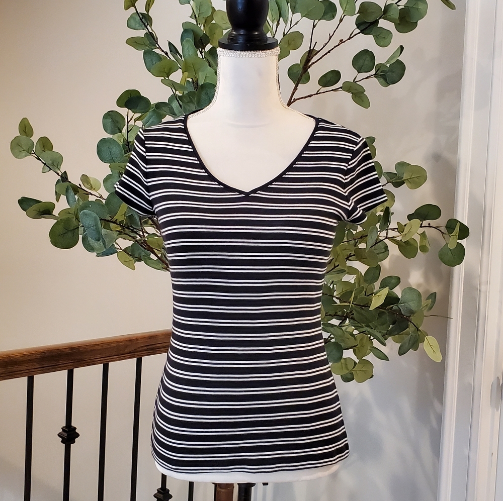 Ann Taylor V Neck Top